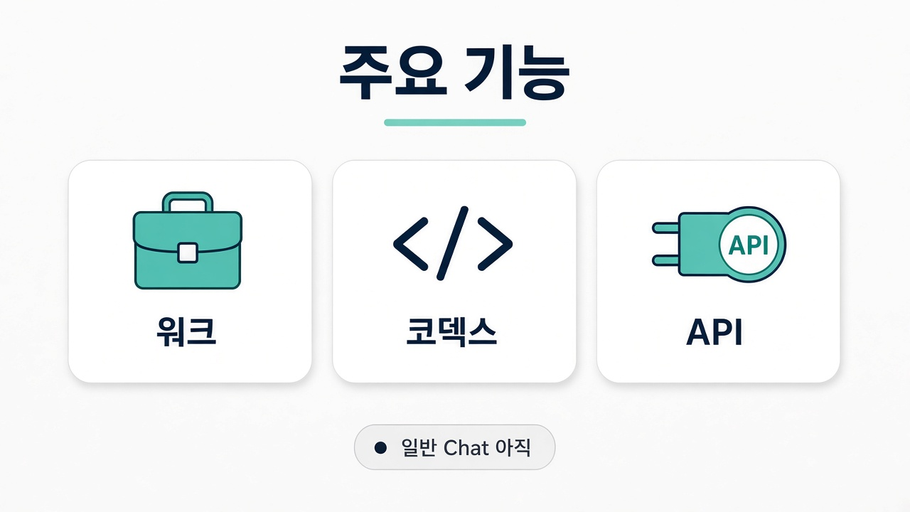 Sol 사용처 — Work · Codex · API (일반 Chat 제외)