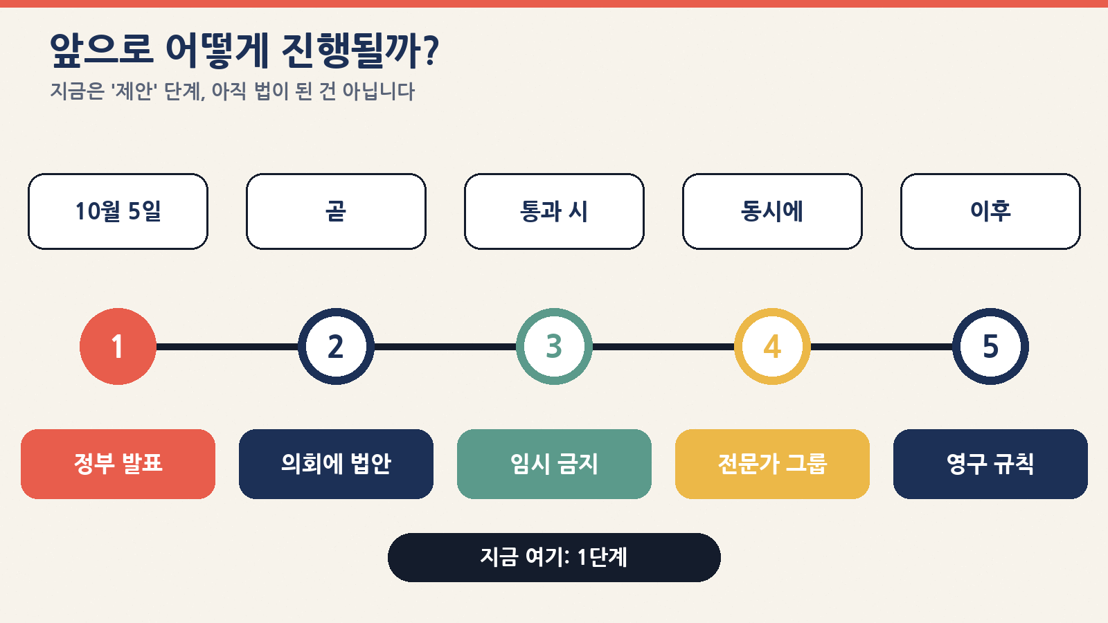 지금은 정부 제안 단계이며, 의회 법안과 전문가 그룹 논의가 뒤따른다