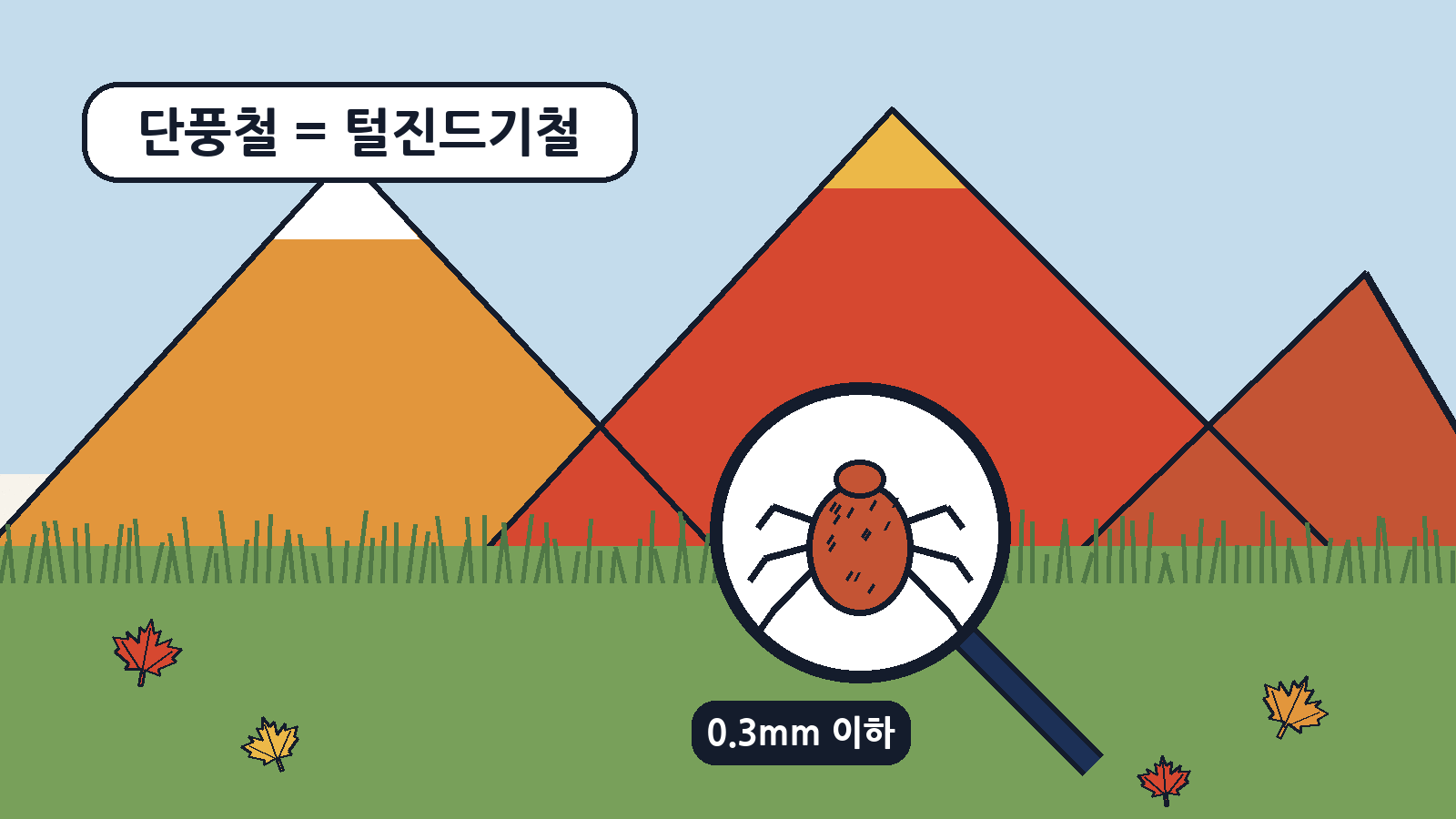 단풍이 가장 예쁜 10~11월은 0.3mm도 안 되는 털진드기 유충이 옮기는 쯔쯔가무시증 환자가 가장 많은 때이기도 해요